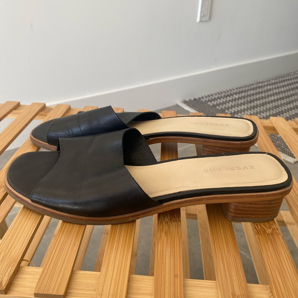 Everlane Black Mule Slides